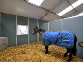 Stokbord recycled plastic sheet board as stable walls